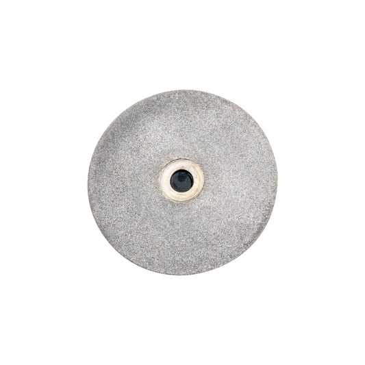 Diamond Disk, 51 mm (2 in.) 300 Grit